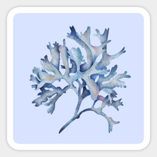 Marine Coral Underwater Pattern Sticker